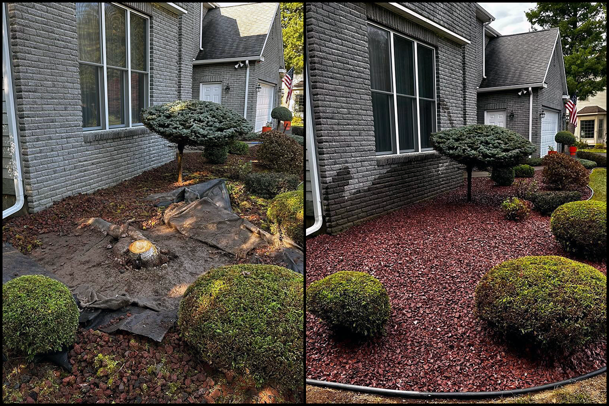 Before-After-05