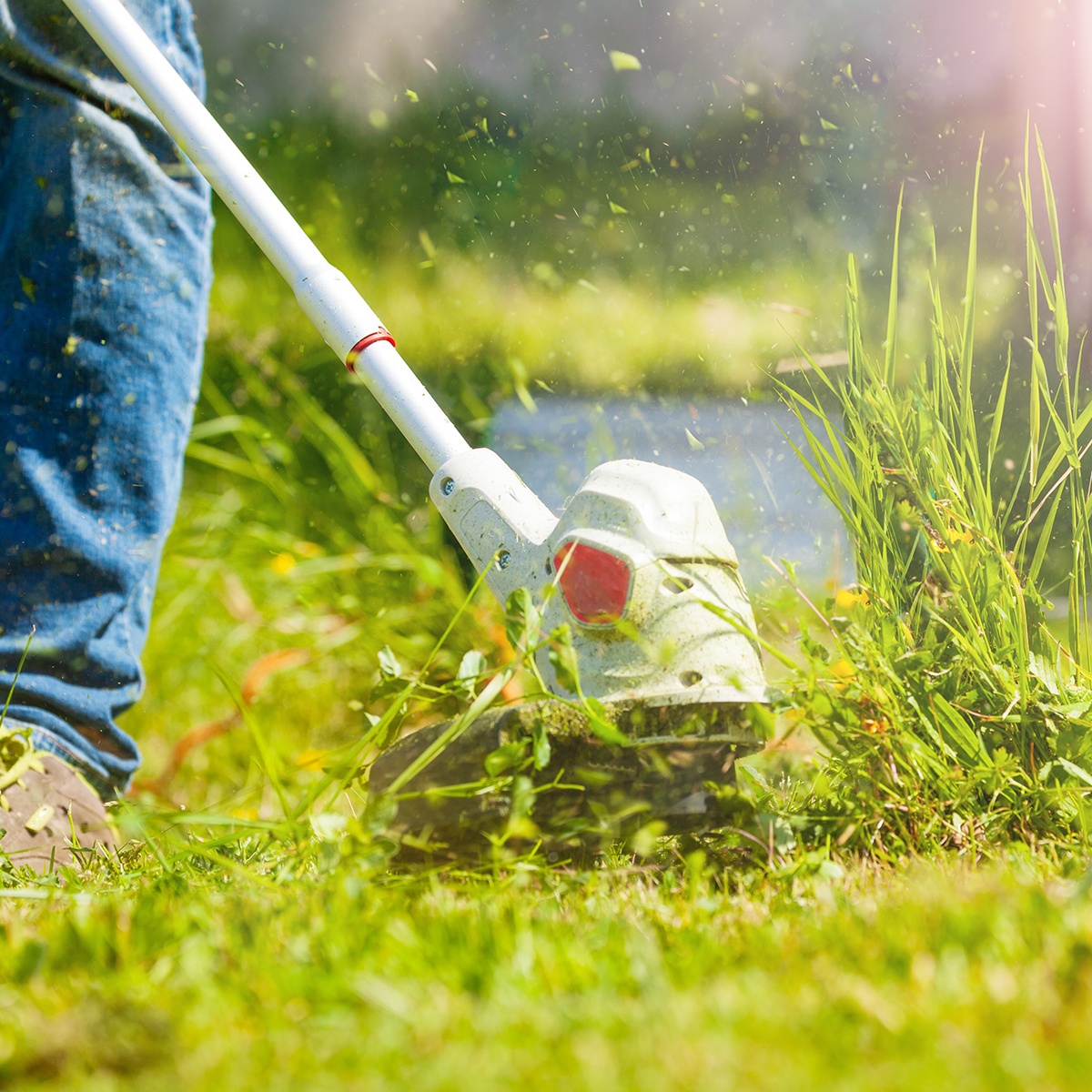 Close up of man using weed trimmer