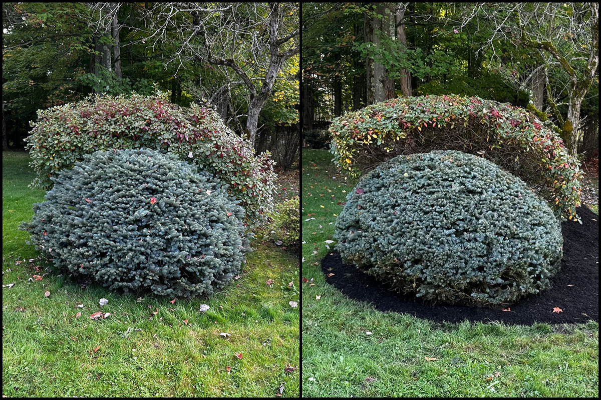 Before-After-06