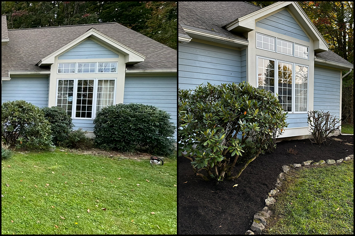 Before-After-10